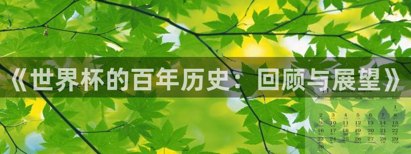 世界杯赛程表2026:《世界杯的百年历史:回顾与展望》