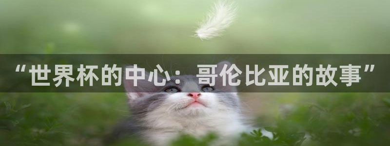 26世界杯:“世界杯的中心:哥伦比亚的故事”
