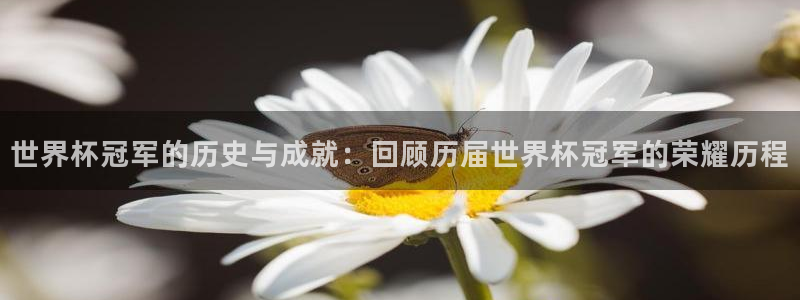 2026世界杯赛制:世界杯冠军的历史与成就:回顾历届世界杯冠军的荣耀历程