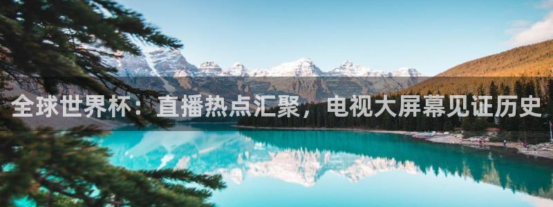 2026世界杯官网:全球世界杯:直播热点汇聚,电视大屏幕见证历史