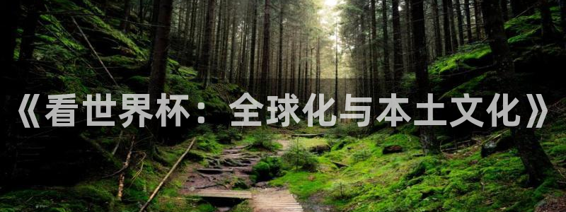 世界杯欧洲区赛程:《看世界杯:全球化与本土文化》