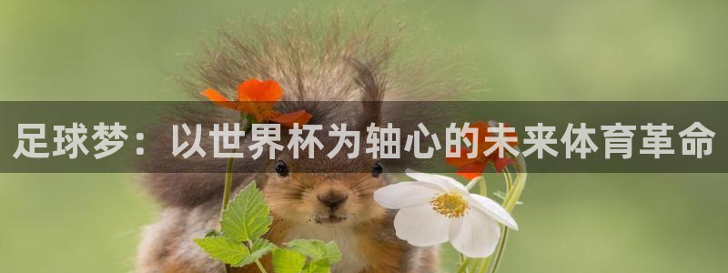 亚洲区世界杯预选赛:足球梦:以世界杯为轴心的未来体育革命